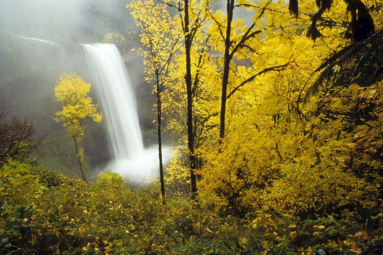 Silver Falls Lodge & Conference CenterSublimity エクステリア 写真